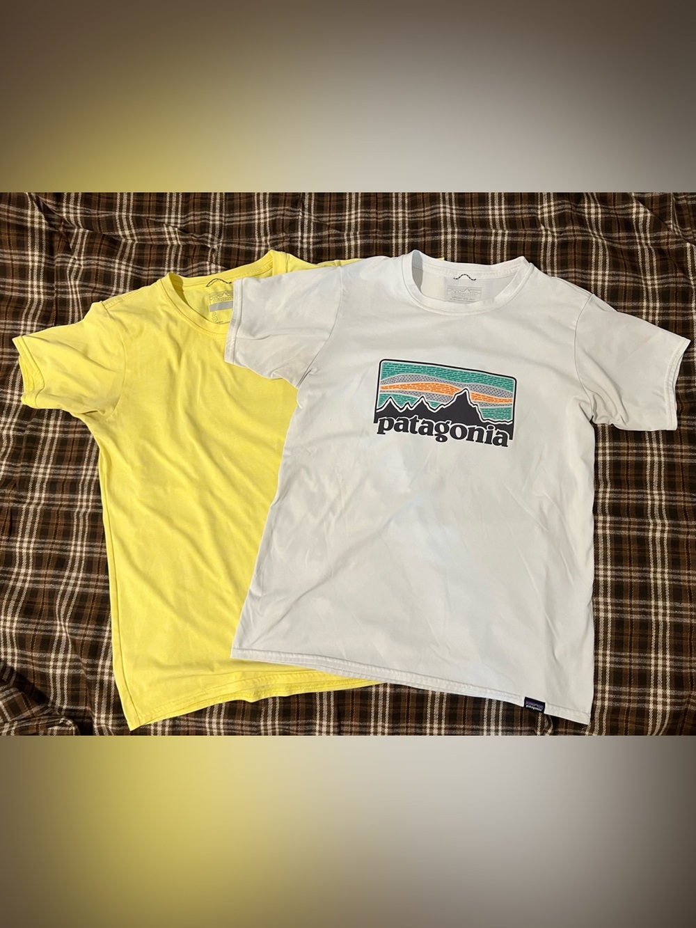 Two Patagonia Capilene Cool Daily Graphic t shirt Women’s S Performance tee